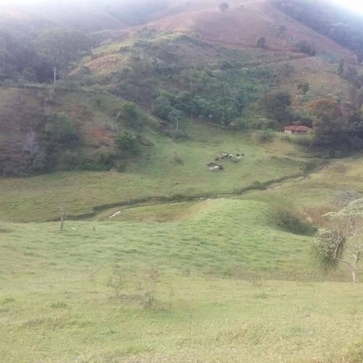 Picture of Farm For Sale in Rio De Janeiro, Rio De Janeiro, Brazil
