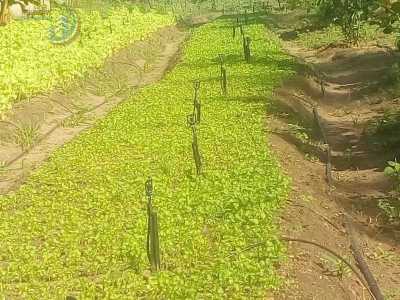 Home For Sale in Nisia Floresta, Brazil