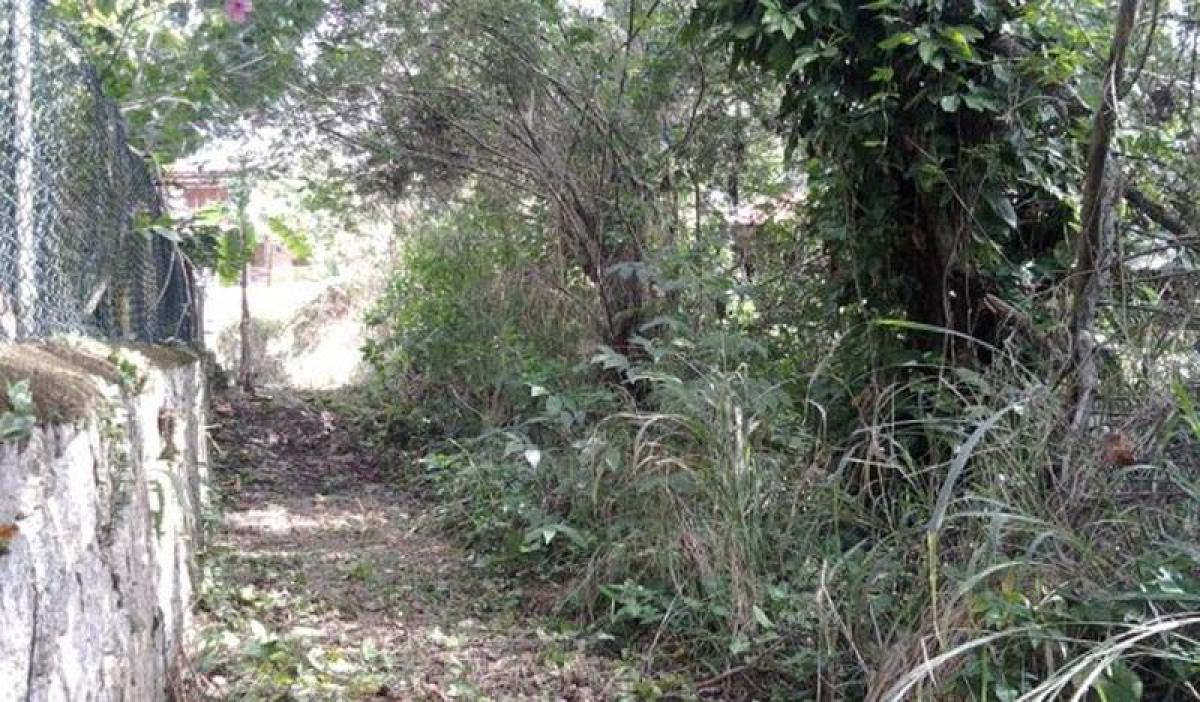 Picture of Residential Land For Sale in Ilhabela, Sao Paulo, Brazil