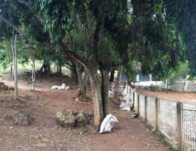 Other Commercial For Sale in