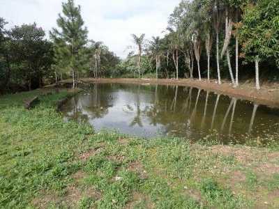 Farm For Sale in Sao Paulo, Brazil