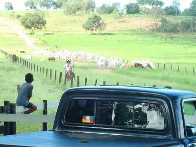 Farm For Sale in Mato Grosso Do Sul, Brazil