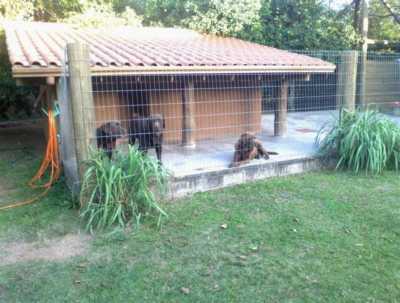 Farm For Sale in Porto Alegre, Brazil