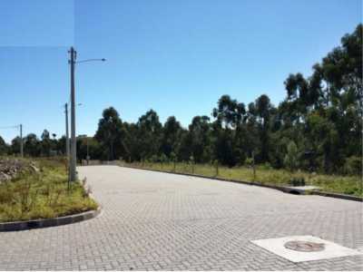 Residential Land For Sale in Canela, Brazil