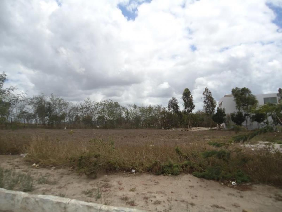 Picture of Residential Land For Sale in Pernambuco, Pernambuco, Brazil