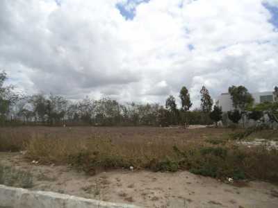 Residential Land For Sale in Pernambuco, Brazil