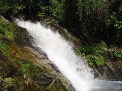 Farm For Sale in Rio De Janeiro, Brazil