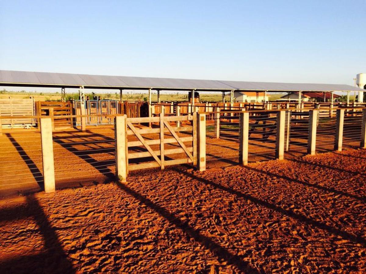 Picture of Farm For Sale in Rondônia, Rondonia, Brazil