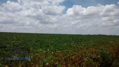 Farm For Sale in Goias, Brazil
