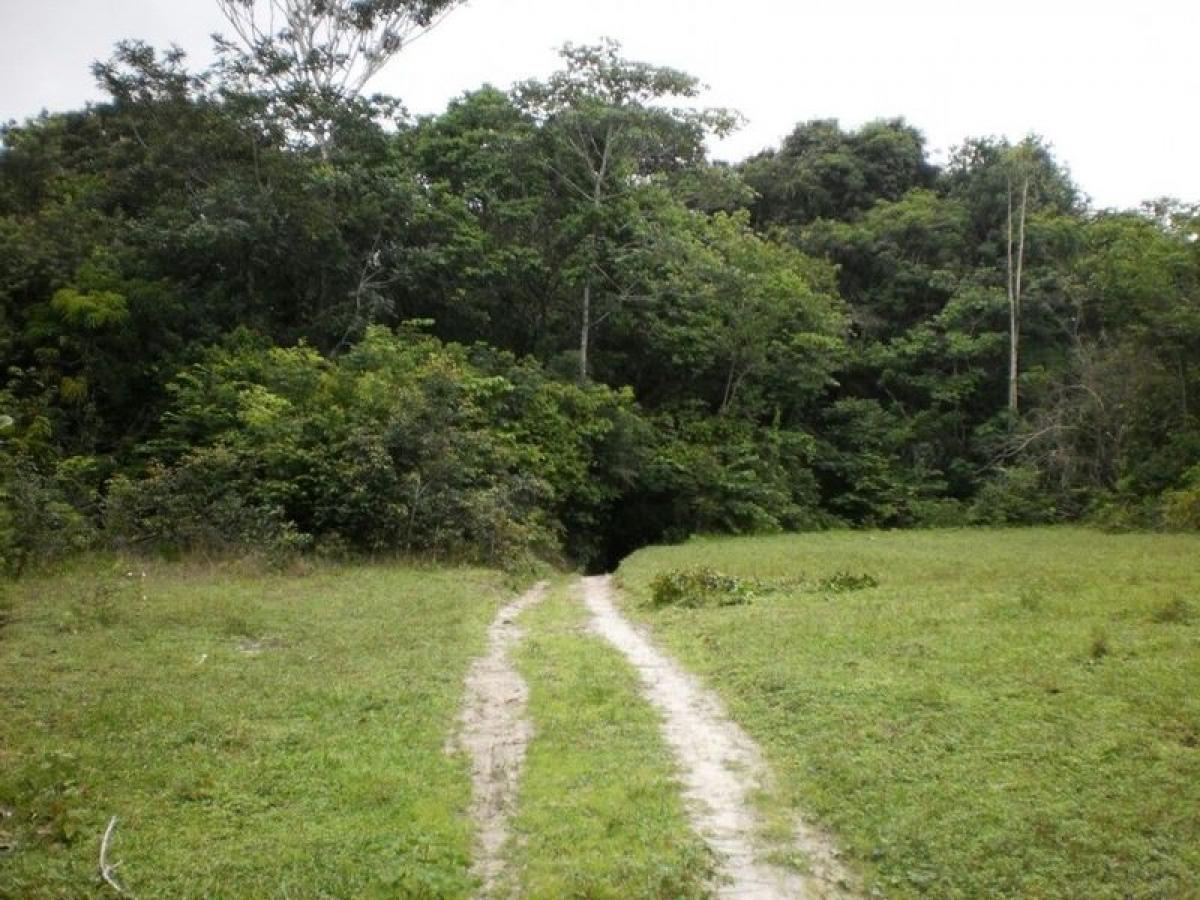 Picture of Farm For Sale in Maranhao, Maranhao, Brazil