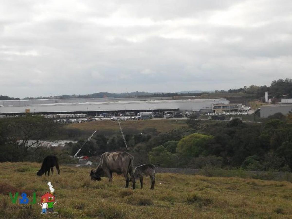 Picture of Farm For Sale in Louveira, Sao Paulo, Brazil
