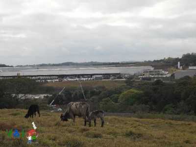 Farm For Sale in Louveira, Brazil