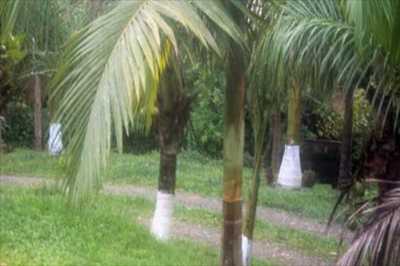 Other Commercial For Sale in Jundiai, Brazil