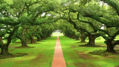 Residential Land For Sale in Tatui, Brazil