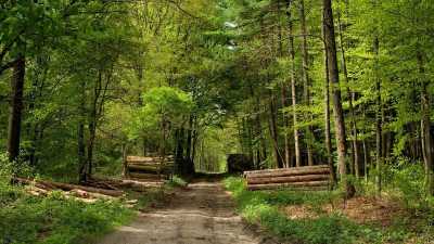 Residential Land For Sale in Itaquaquecetuba, Brazil