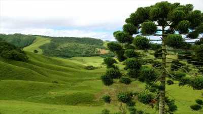 Residential Land For Sale in Sao Roque, Brazil
