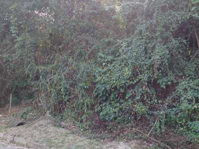 Other Commercial For Sale in Niteroi, Brazil