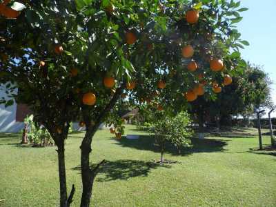 Home For Sale in Ipero, Brazil
