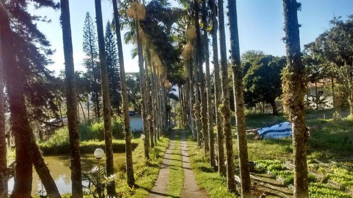 Picture of Farm For Sale in Sao Jose, Santa Catarina, Brazil