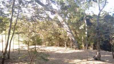 Farm For Sale in Sao Jose Dos Campos, Brazil