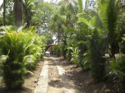 Farm For Sale in Salvador, Brazil