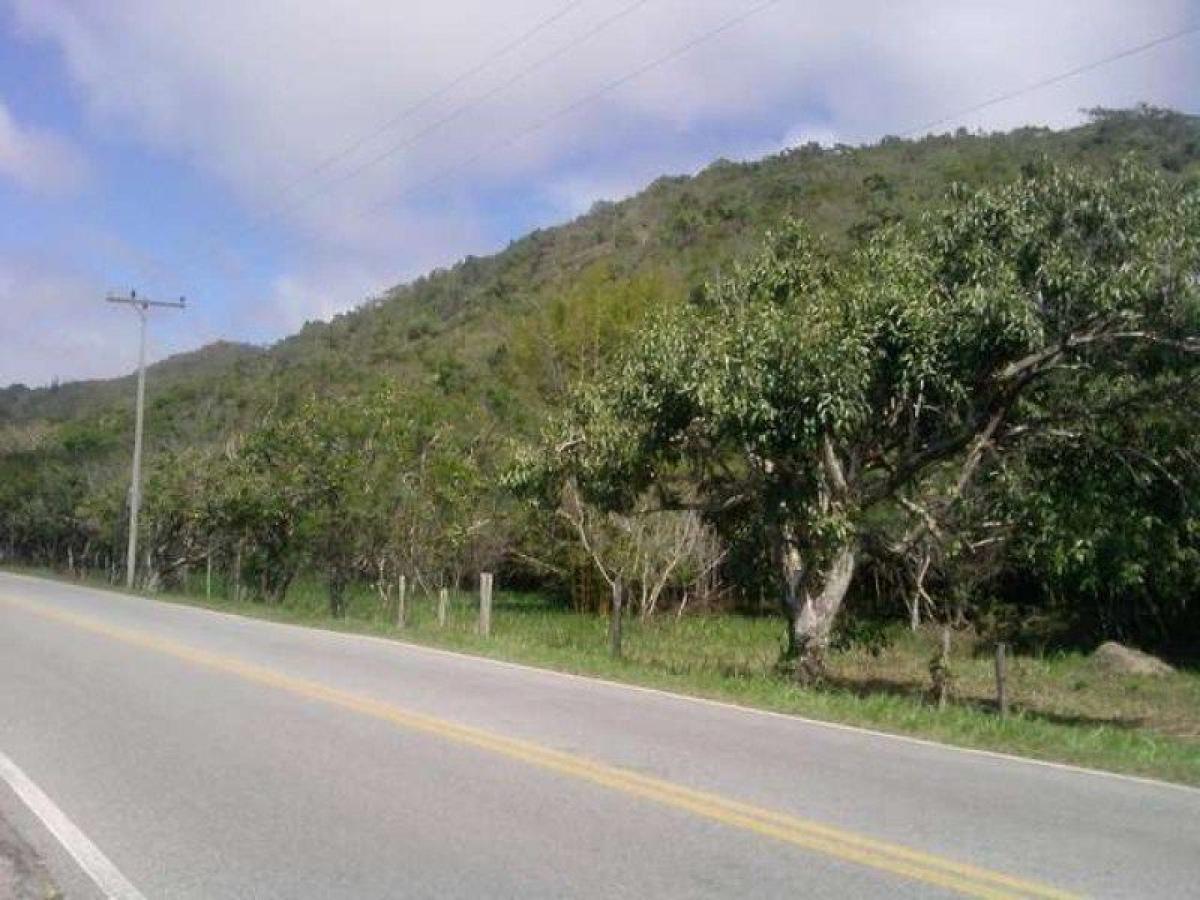 Picture of Residential Land For Sale in Santa Catarina, Santa Catarina, Brazil