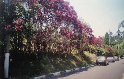 Residential Land For Sale in Cotia, Brazil