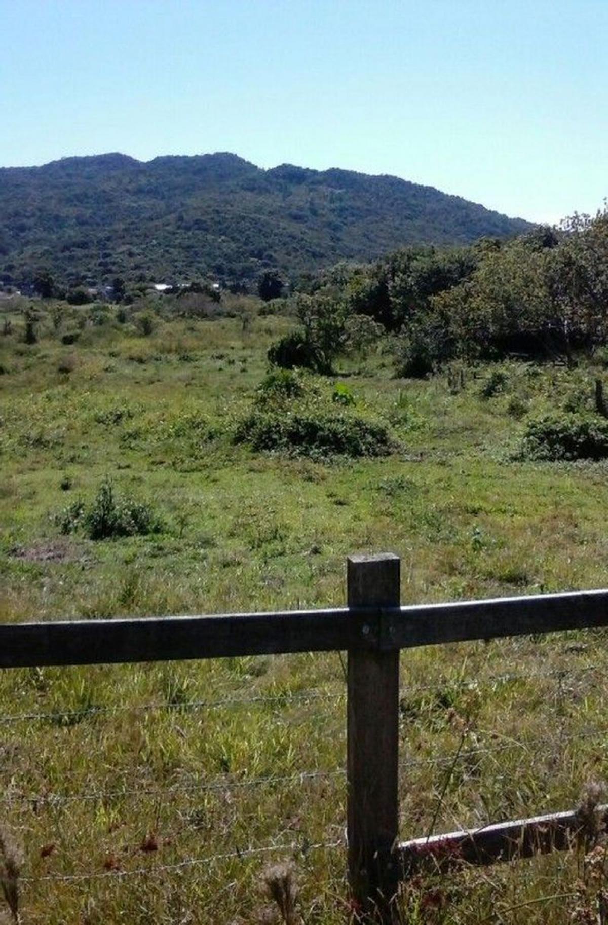 Picture of Farm For Sale in Florianopolis, Santa Catarina, Brazil