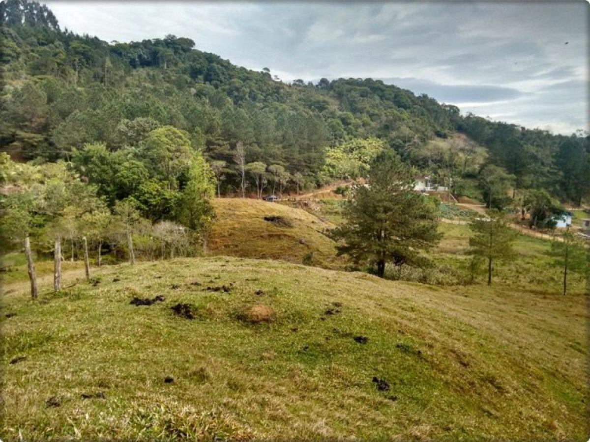 Picture of Farm For Sale in Santa Catarina, Santa Catarina, Brazil