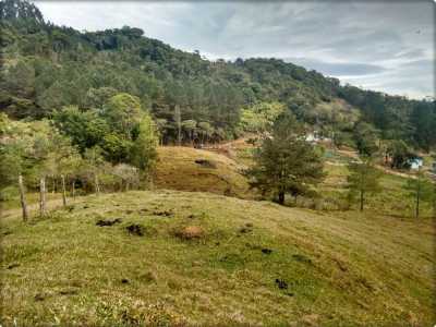 Farm For Sale in Santa Catarina, Brazil