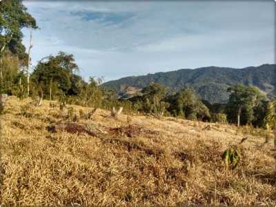 Farm For Sale in Santa Catarina, Brazil