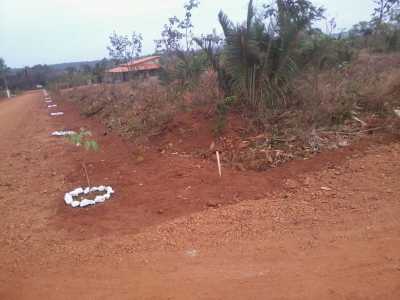 Farm For Sale in Minas Gerais, Brazil