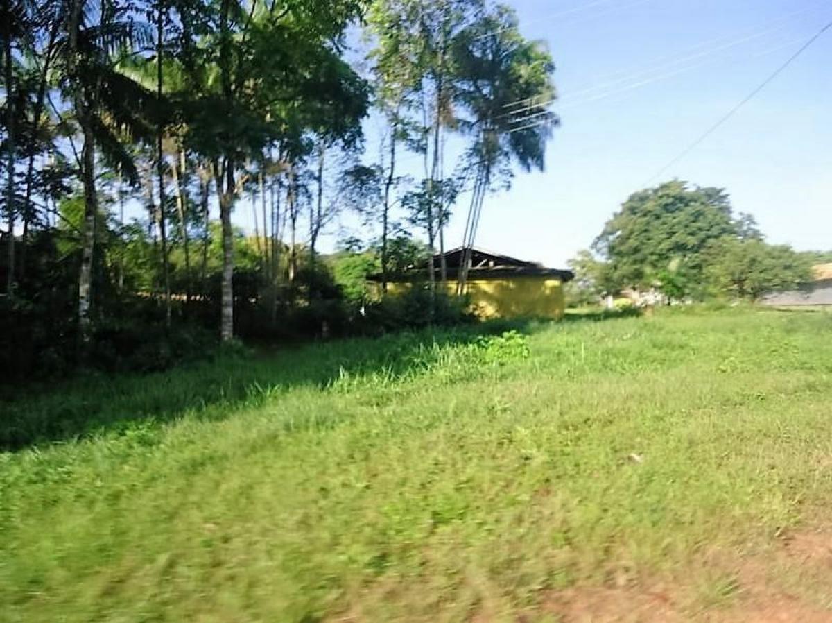 Picture of Farm For Sale in Para, Para, Brazil