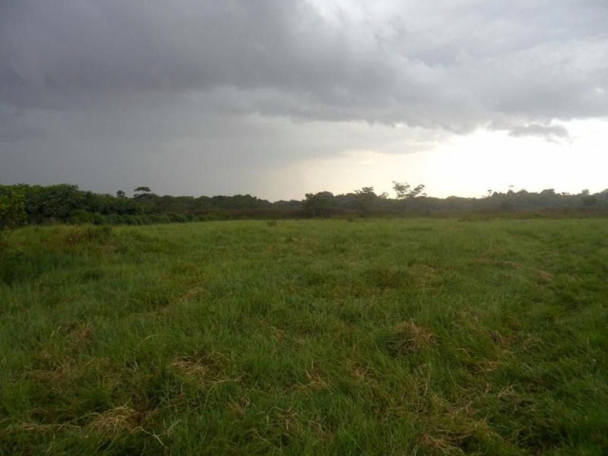 Picture of Farm For Sale in Para, Para, Brazil