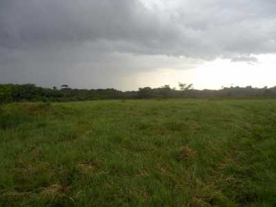 Farm For Sale in Para, Brazil