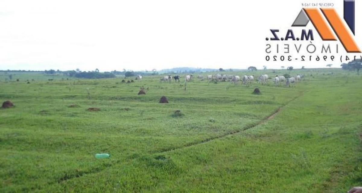 Picture of Farm For Sale in Avare, Sao Paulo, Brazil