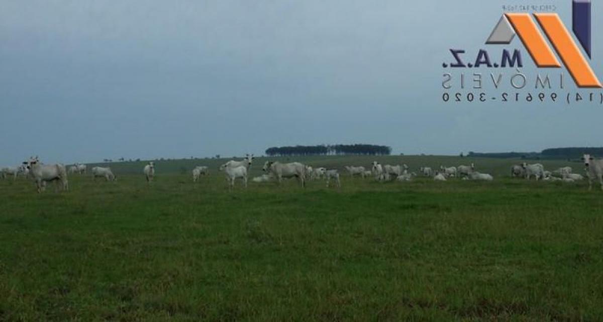 Picture of Farm For Sale in Avare, Sao Paulo, Brazil