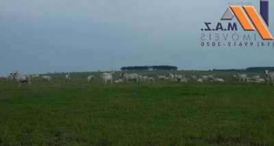 Farm For Sale in Avare, Brazil