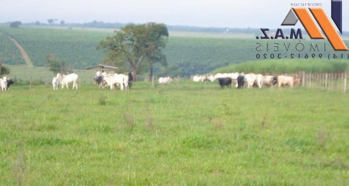 Picture of Farm For Sale in Avare, Sao Paulo, Brazil