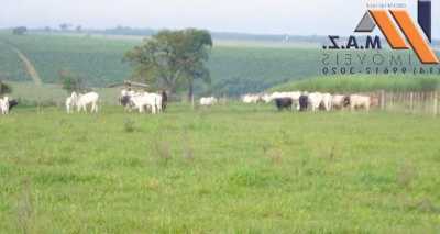 Farm For Sale in Avare, Brazil