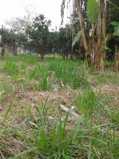 Residential Land For Sale in Caraguatatuba, Brazil