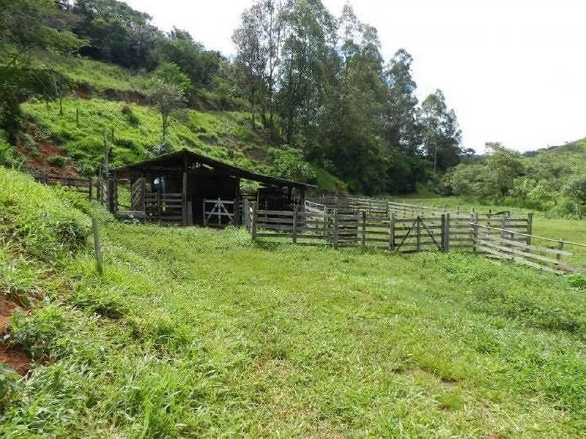 Picture of Farm For Sale in Três Marias, Minas Gerais, Brazil