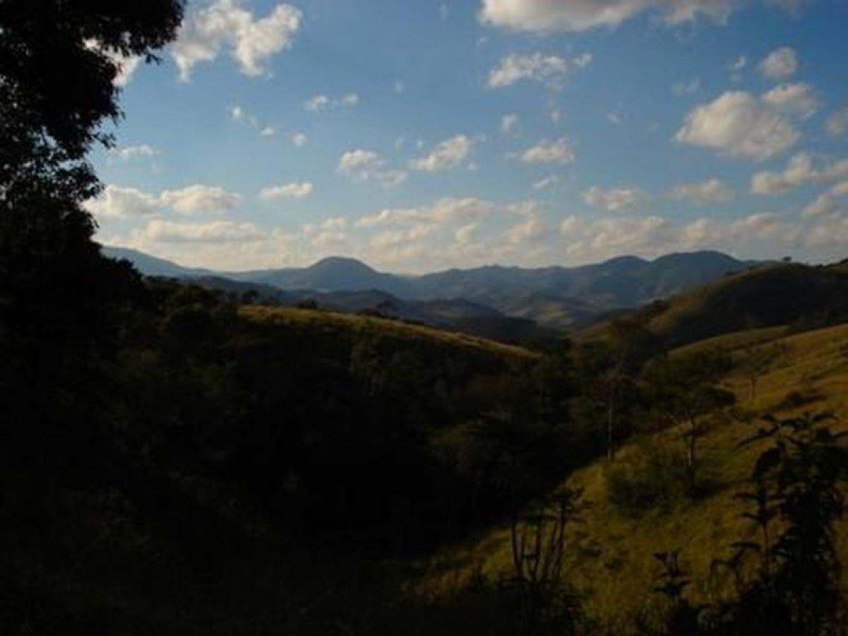 Picture of Farm For Sale in Minas Gerais, Minas Gerais, Brazil