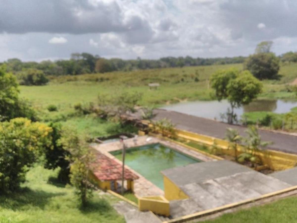 Picture of Farm For Sale in Para, Para, Brazil