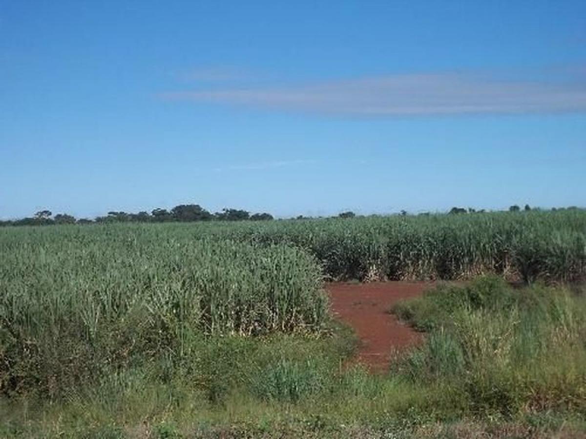Picture of Farm For Sale in Goias, Goias, Brazil
