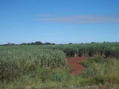 Farm For Sale in Goias, Brazil