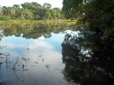 Farm For Sale in Goias, Brazil