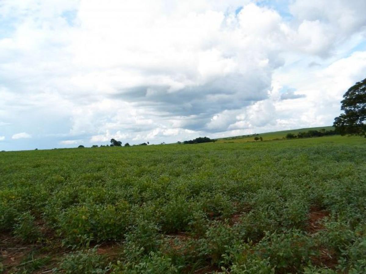 Picture of Farm For Sale in Goias, Goias, Brazil