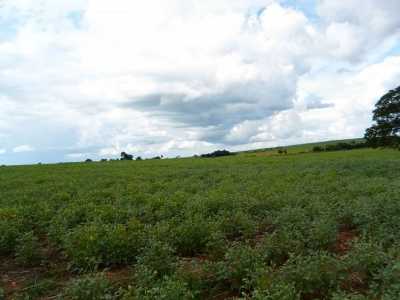 Farm For Sale in Goias, Brazil