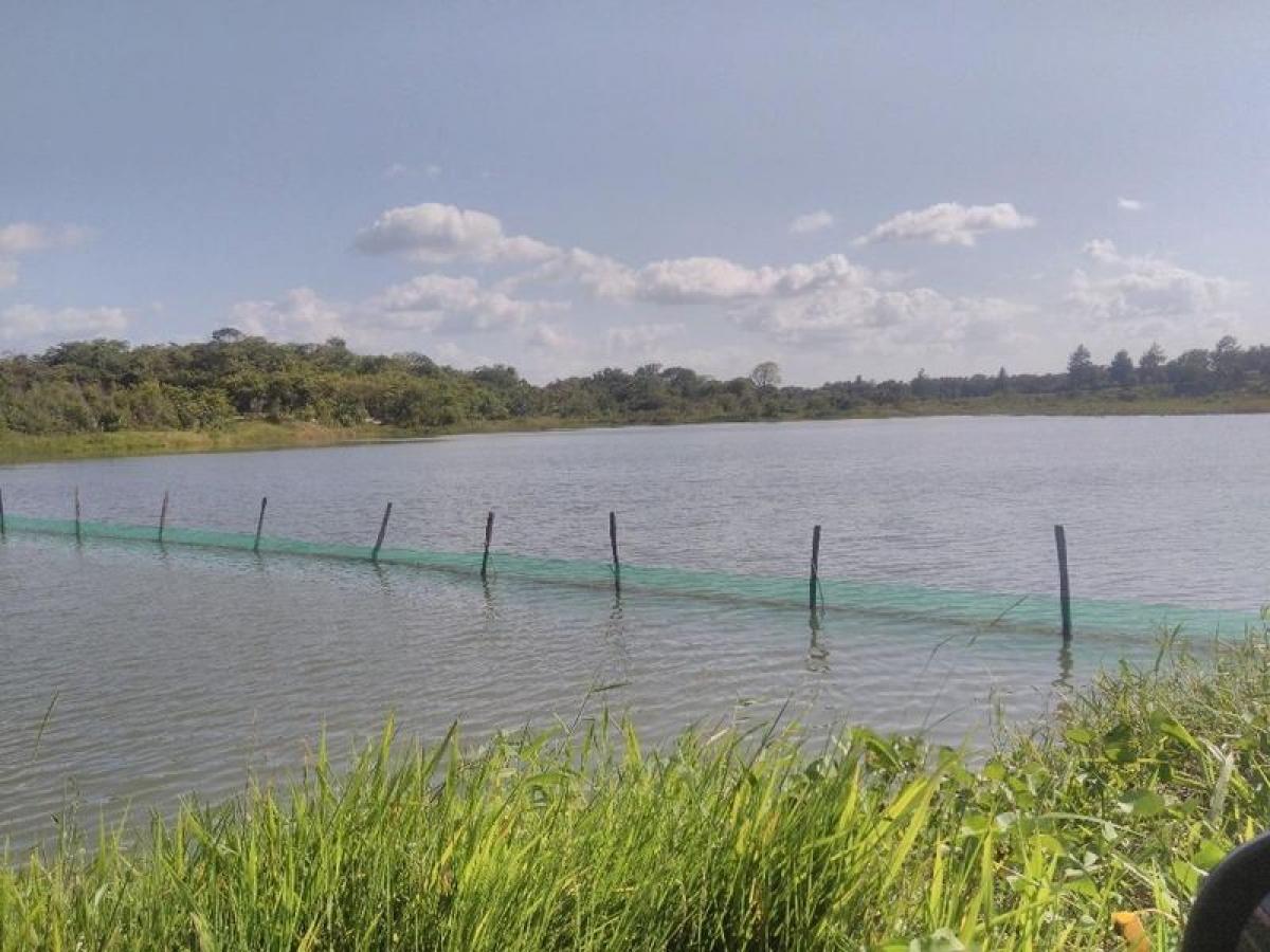 Picture of Farm For Sale in Para, Para, Brazil